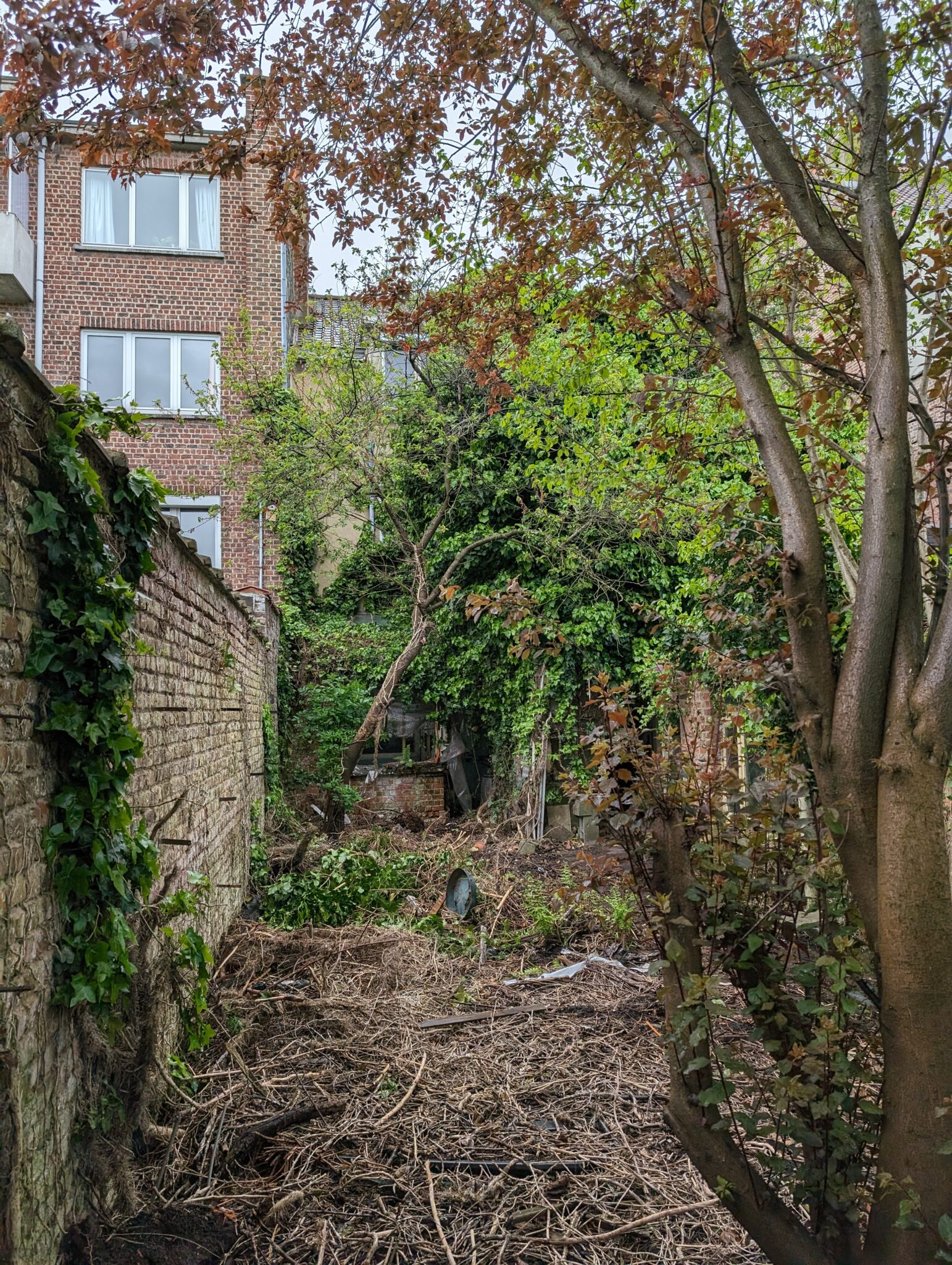 a house in Brussels - total renovation, catering, house